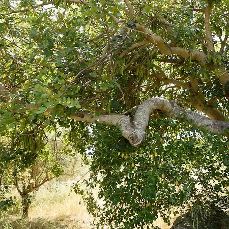 Karrua Hébergement de vacances